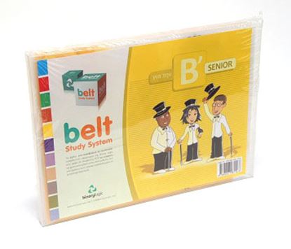 Εικόνα της BELT STUDY SYSTEM PACK B SENIOR 