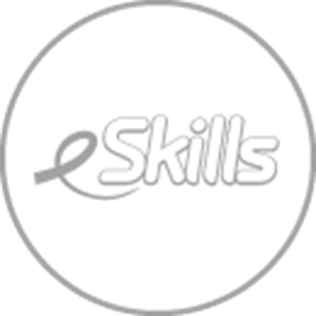 Εικόνα για την κατηγορία e Skills