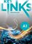 Εικόνα της KEY LINKS A1 Workbook 